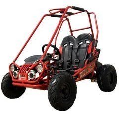 Trailmaster Mini XRX+ 2- Seater GO-KART EAGLE SERIES 163cc Blue