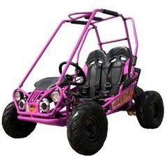 Trailmaster Mini XRX+ 2- Seater GO-KART EAGLE SERIES 163cc Blue - Image 6