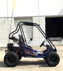Trailmaster Mini XRX+ 2- Seater GO-KART EAGLE SERIES 163cc Blues. - Image 2