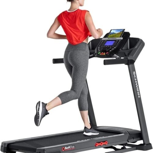 Schwinn 810 Treadmill