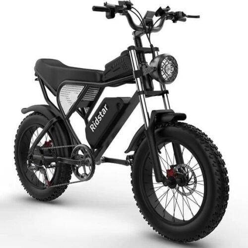 Ridstar Q20 48V Fat Tire Electric Bike with LCD Meter,