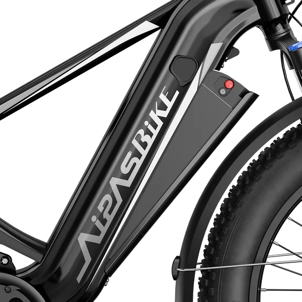 Aipas M2 Xterrain Ebike Aipas-M2-black Baskets. - Image 3
