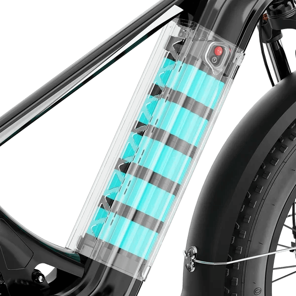 Aipas M2 Xterrain Ebike Aipas-M2-black Baskets. - Image 7
