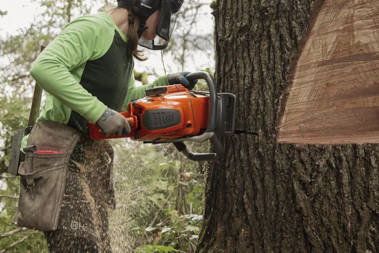 Husqvarna 592XP (93cc) Chainsaws - Image 8
