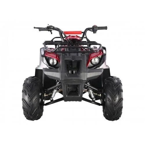 Tao Motors D125 Kids ATVs - Image 3