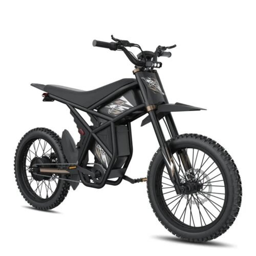 Riding Times GT73 Pro 60V/36Ah 3000W Off-Road Electric Dirt Bikes